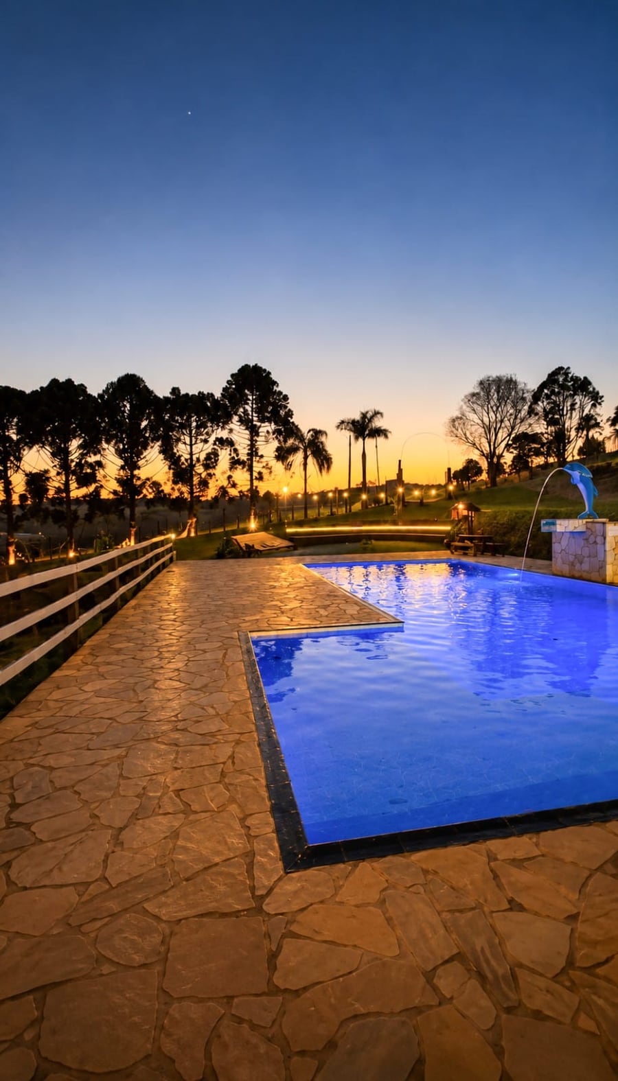 Piscina iluminada ao pôr do sol entre as araucárias